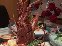 -月下料理(楷林IFC店)