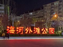 -海河外滩公园