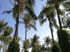 -白沙湾海滩