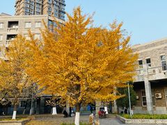 -辽宁大学(崇山校区)