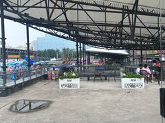 -移动谜城·大笨象密室逃脱(五棵松店)