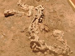 -世界恐龙谷景区