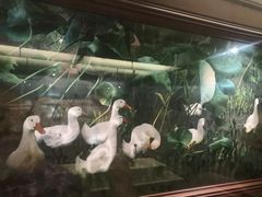 -杭州工艺美术博物馆