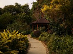 -云溪植物园