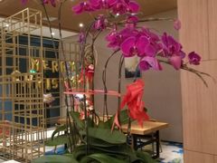 -JOYA湾悦国际酒店(世界之窗店)