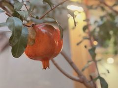 -后海16号·北京私房菜