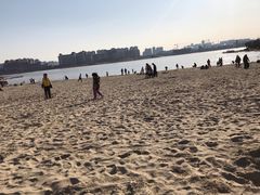 -九龙湖公园