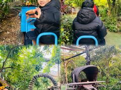-呀路古热带植物园