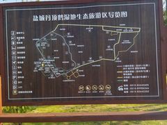 -盐城丹顶鹤湿地生态旅游区