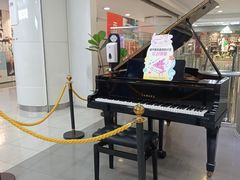 -巴黎春天(陕西路店)