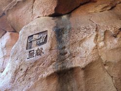 点击看大图 -翱翔飞越地平线