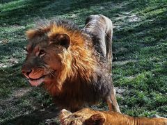 -北京野生动物园