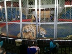 -西安秦岭野生动物园