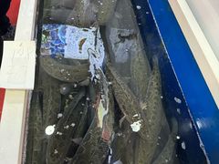 -活鱼馆(宜兴埠店)