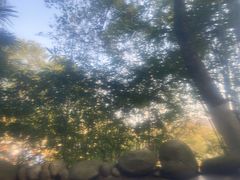 -三江森林温泉度假区