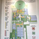谁还没来过王府井的这个大菠萝🍍