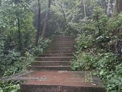 -凤栖山