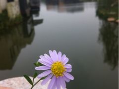 iphone_upload_pic-上海怡沁园度假酒店