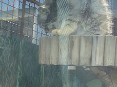 -青藏高原野生动物园
