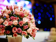 -上海明天广场JW万豪酒店