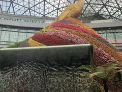 -花之城