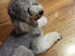 -沏点Trattoria意大利餐厅(新街口店)