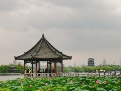 -济南大明湖景区