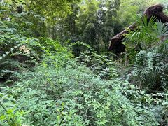 -成都杜甫草堂博物馆