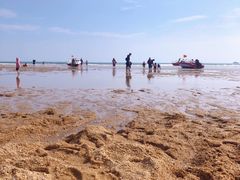 -前王院•巧克力海鲜市集餐厅(万平口店)