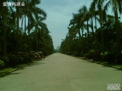 -万绿园