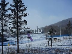 -长白山凯悦酒店·市集咖啡厅