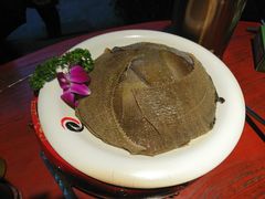 清油毛肚-二荆条·蜀鲜汇城市森林火锅