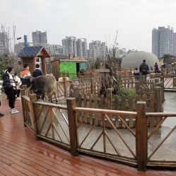 点击看大图 -三分地生态园·儿童乐园