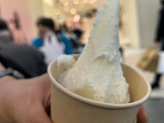 -野人先生Gelato(上海长宁龙之梦店)