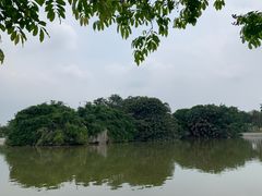-长洲岛