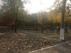 -辽宁大学(崇山校区)
