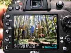 -黄海国家森林公园