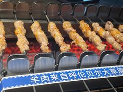 呼伦贝尔羊肉串-很久以前羊肉串(京汉店)