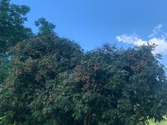 -飞霞风景名胜区