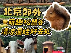 -欢乐松鼠谷