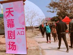 -天适樱花悠乐园