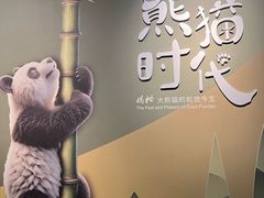 -深圳博物馆历史民俗馆