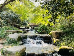 -中国茶叶博物馆(双峰馆区)