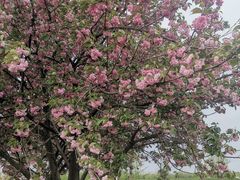 -汉长安城未央宫国家考古遗址公园