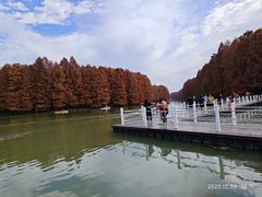 -上海海湾国家森林公园