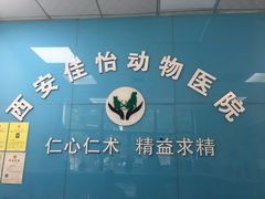 -佳怡动物医院·平价24小时·猫专科骨外科