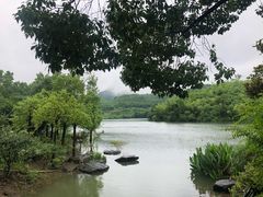 -宁波九龙湖开元度假村