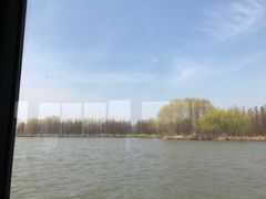 -溱湖国家湿地公园