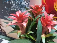 -时代Party·K(三湘商业广场店)