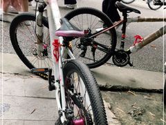 -贵阳市花溪国家城市湿地公园